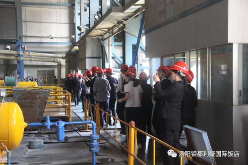 對標先進拓思路，鉬都利豪飯店管理人員及先進員工代表赴集團公司參觀學習酒店管理經驗