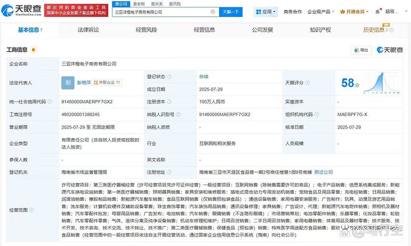 天貓三亞布局新棋 電子商務公司成立引發行業關注